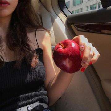 屠龙破晓bt版下载